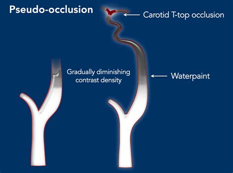 pseudophilanthropical|pseudophilanthropic .
